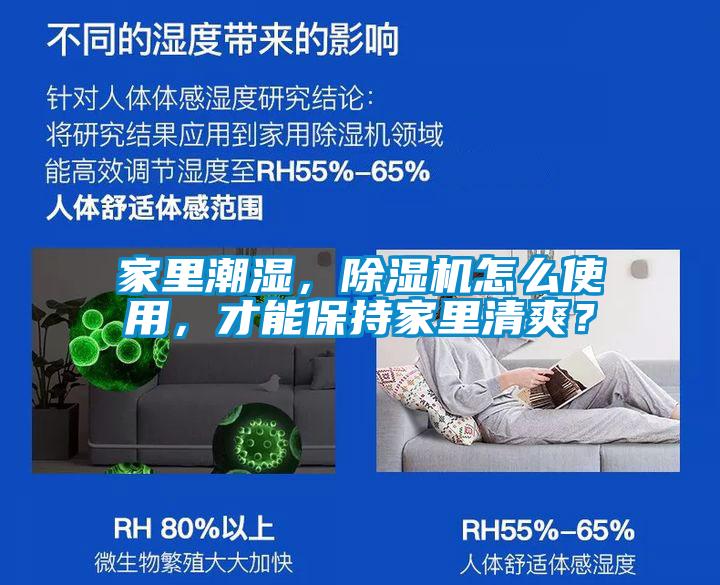 家里潮濕，除濕機怎么使用，才能保持家里清爽？