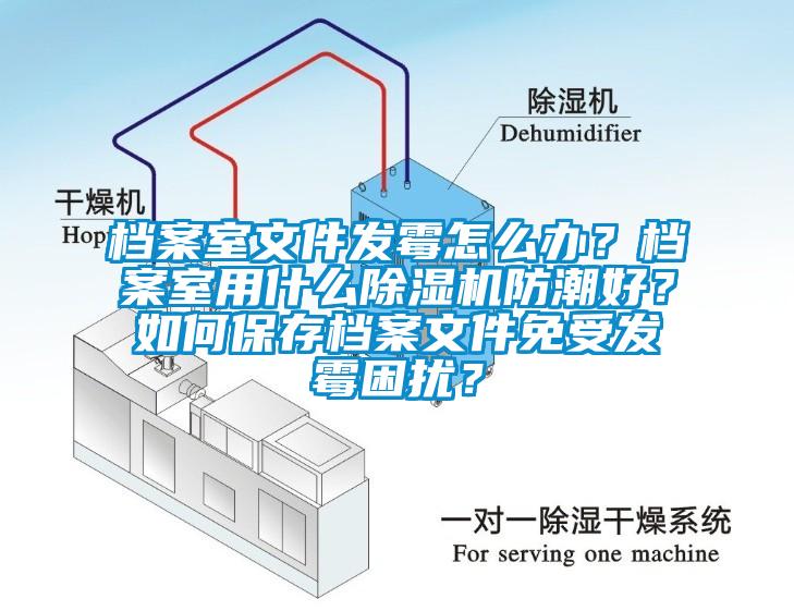 檔案室文件發(fā)霉怎么辦？檔案室用什么除濕機(jī)防潮好？如何保存檔案文件免受發(fā)霉困擾？
