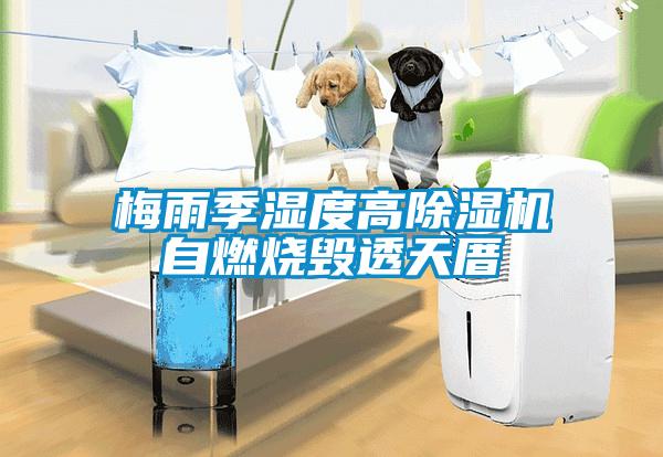 梅雨季濕度高除濕機自燃燒毀透天厝