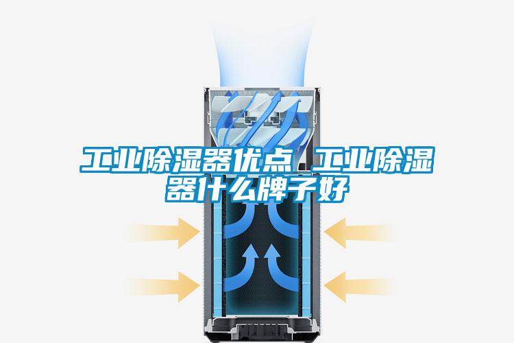 工業除濕器優點 工業除濕器什么牌子好