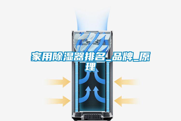 家用除濕器排名_品牌_原理