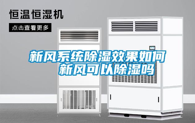 新風系統除濕效果如何  新風可以除濕嗎