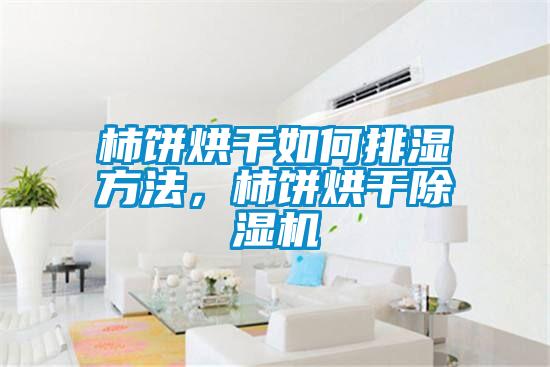 柿餅烘干如何排濕方法，柿餅烘干除濕機(jī)