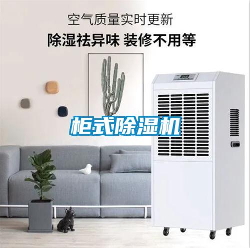 柜式除濕機(jī)