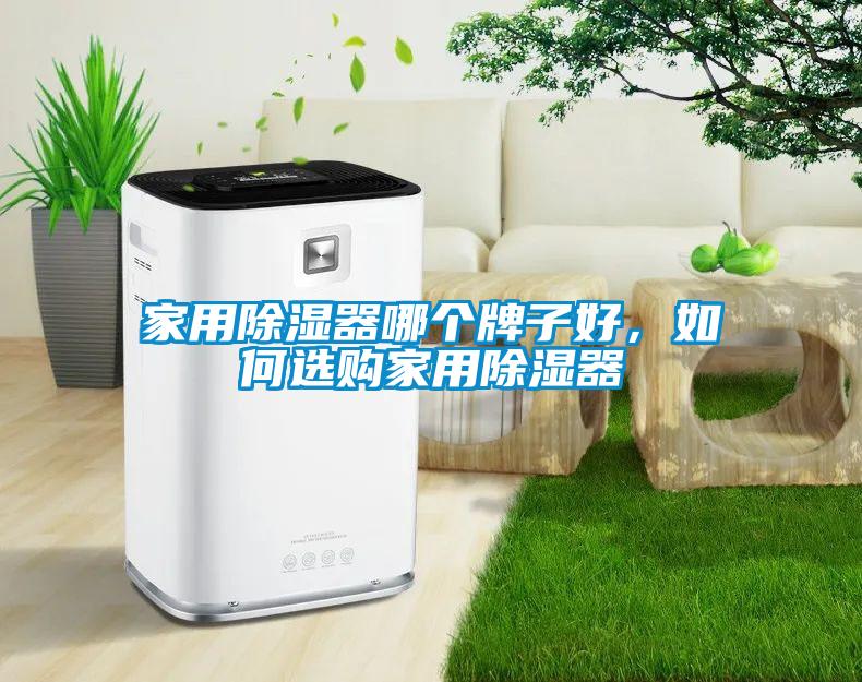 家用除濕器哪個牌子好，如何選購家用除濕器