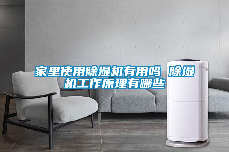 家里使用除濕機(jī)有用嗎 除濕機(jī)工作原理有哪些