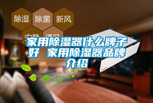 家用除濕器什么牌子好 家用除濕器品牌介紹