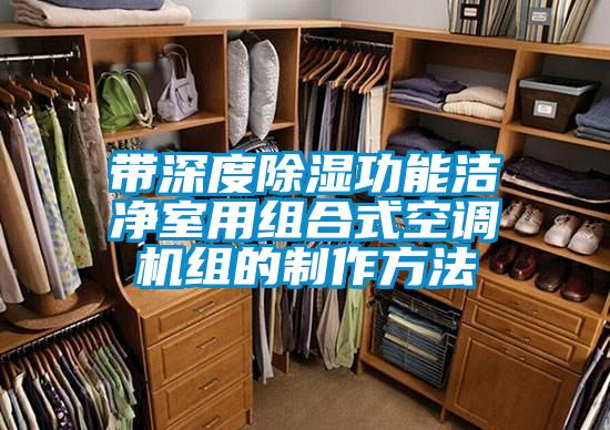 帶深度除濕功能潔凈室用組合式空調機組的制作方法