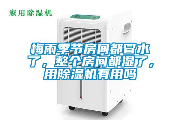 梅雨季節房間都冒水了，整個房間都濕了，用除濕機有用嗎