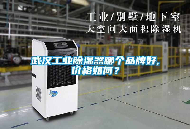 武漢工業(yè)除濕器哪個(gè)品牌好,價(jià)格如何？