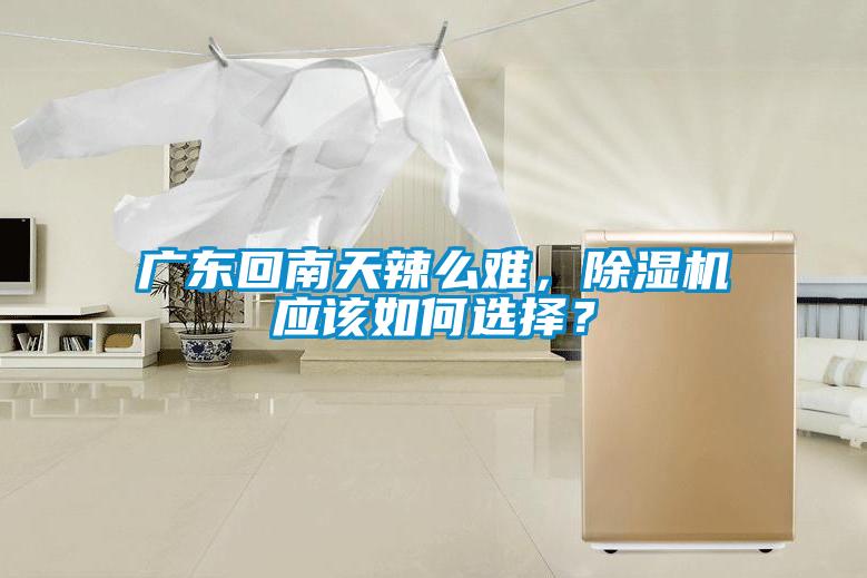 廣東回南天辣么難，除濕機(jī)應(yīng)該如何選擇？