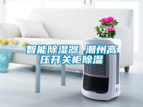 智能除濕器 潮州高壓開(kāi)關(guān)柜除濕