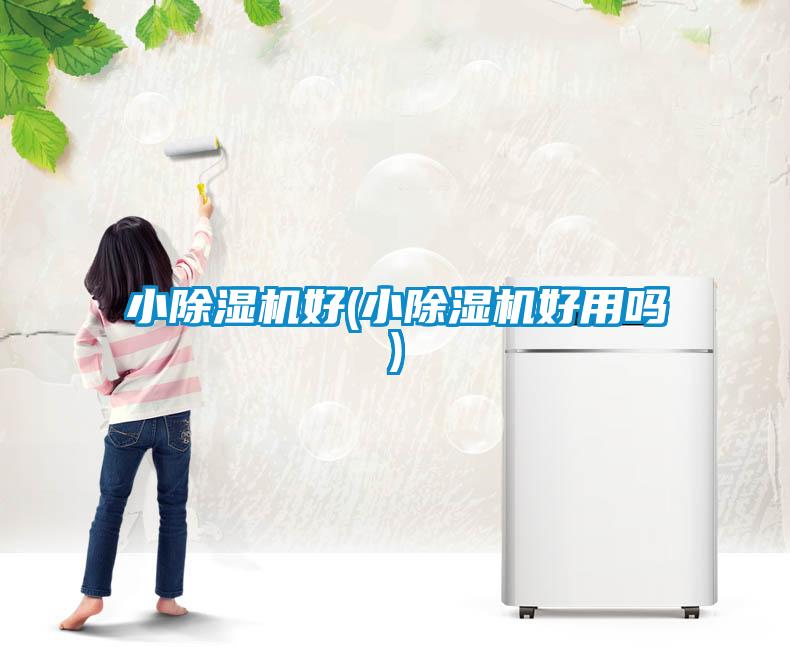 小除濕機好(小除濕機好用嗎)