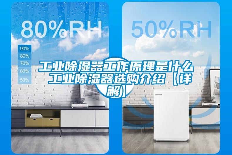 工業除濕器工作原理是什么 工業除濕器選購介紹【詳解】