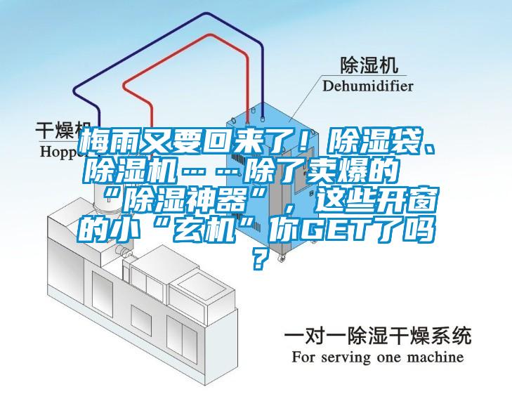 梅雨又要回來了！除濕袋、除濕機……除了賣爆的“除濕神器”，這些開窗的小“玄機”你GET了嗎？