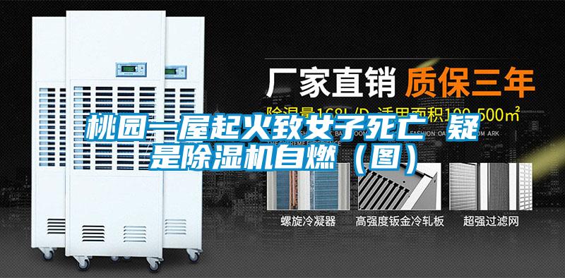 桃園一屋起火致女子死亡 疑是除濕機(jī)自燃（圖）