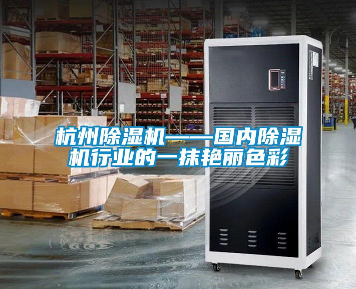 杭州除濕機——國內除濕機行業(yè)的一抹艷麗色彩