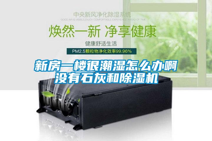 新房一樓很潮濕怎么辦啊沒有石灰和除濕機
