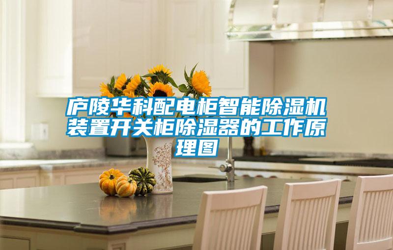 廬陵華科配電柜智能除濕機裝置開關柜除濕器的工作原理圖