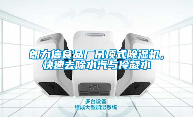 朗力信食品廠吊頂式除濕機(jī)，快速去除水汽與冷凝水