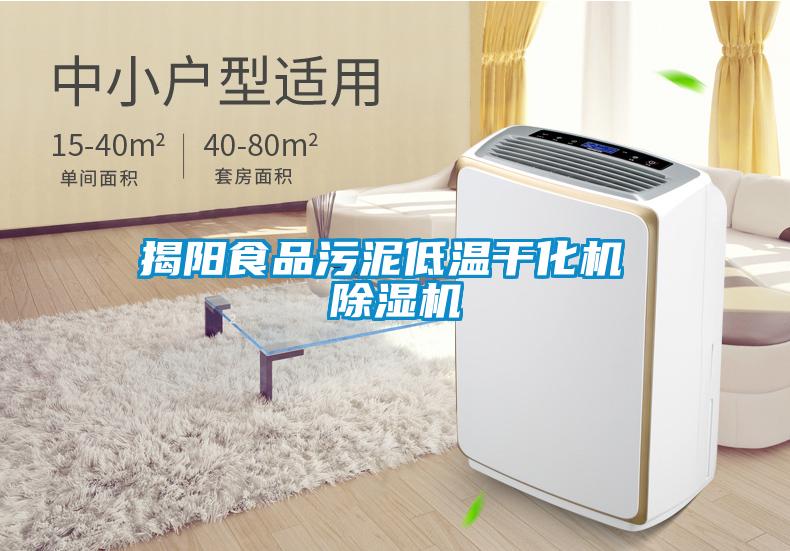 揭陽食品污泥低溫干化機 除濕機