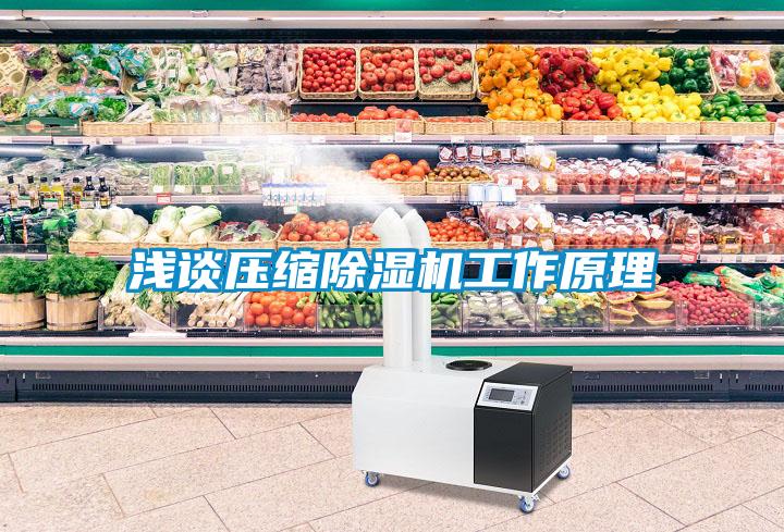 淺談壓縮除濕機(jī)工作原理