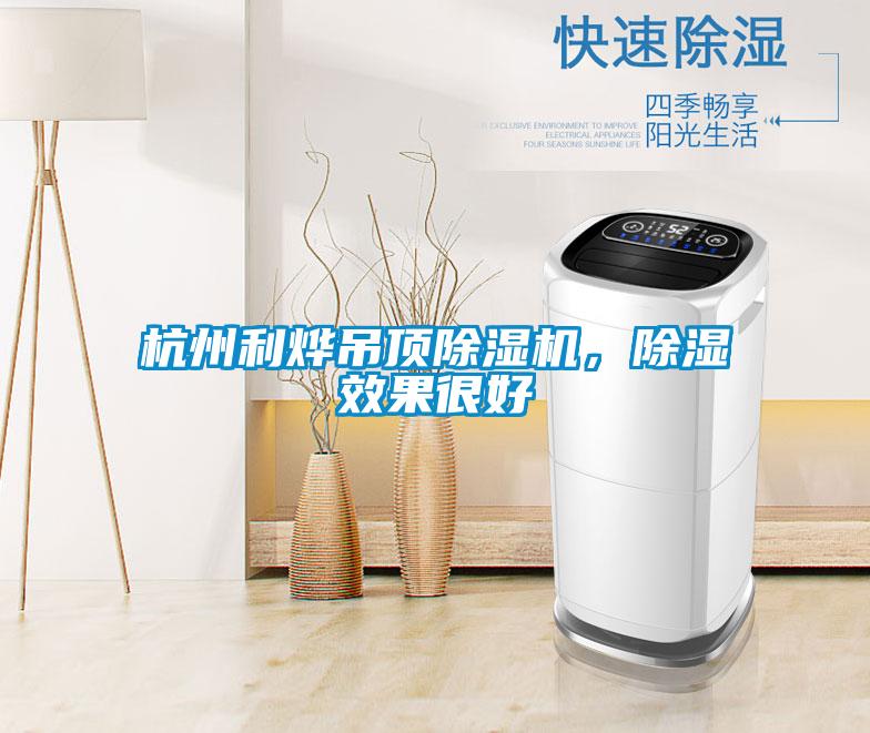 杭州利燁吊頂除濕機，除濕效果很好
