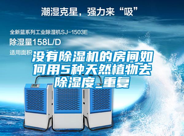 沒有除濕機的房間如何用5種天然植物去除濕度_重復