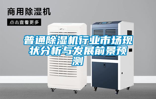 普通除濕機(jī)行業(yè)市場現(xiàn)狀分析與發(fā)展前景預(yù)測