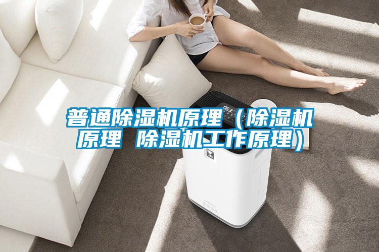 普通除濕機(jī)原理（除濕機(jī)原理 除濕機(jī)工作原理）