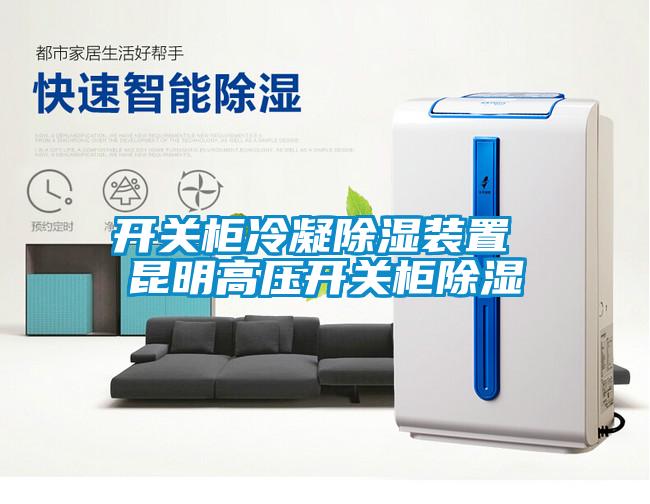 開關柜冷凝除濕裝置 昆明高壓開關柜除濕