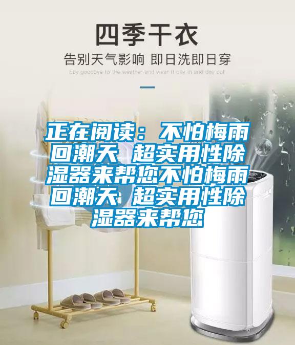 正在閱讀：不怕梅雨回潮天 超實用性除濕器來幫您不怕梅雨回潮天 超實用性除濕器來幫您