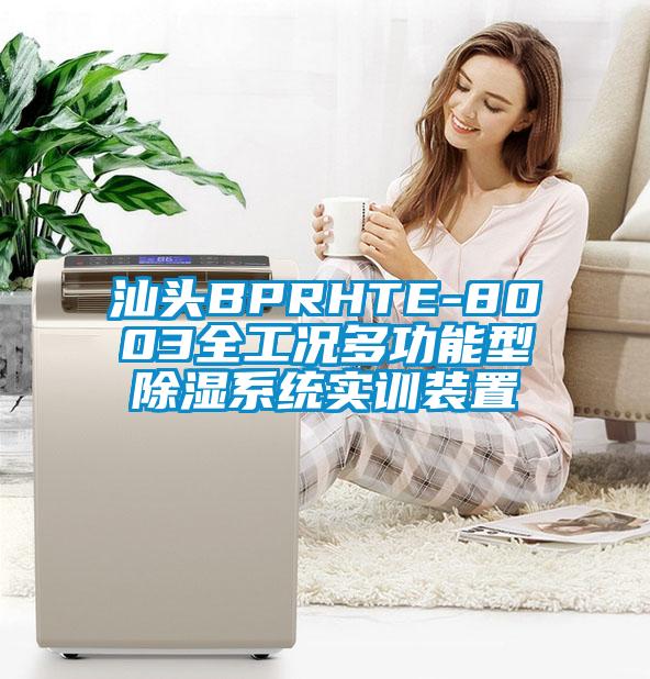 汕頭BPRHTE-8003全工況多功能型除濕系統實訓裝置