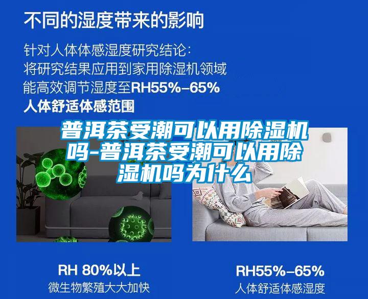 普洱茶受潮可以用除濕機(jī)嗎-普洱茶受潮可以用除濕機(jī)嗎為什么