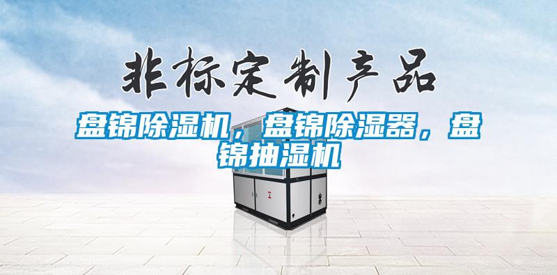 盤錦除濕機，盤錦除濕器，盤錦抽濕機
