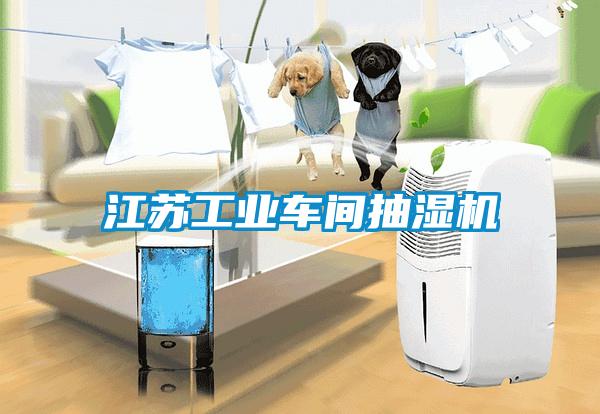 江蘇工業車間抽濕機