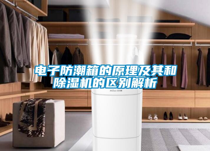 電子防潮箱的原理及其和除濕機的區別解析
