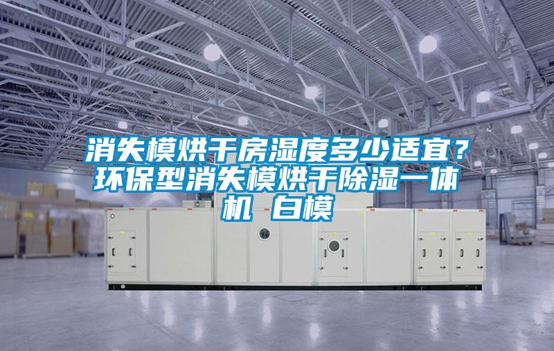 消失模烘干房濕度多少適宜？環保型消失模烘干除濕一體機 白模