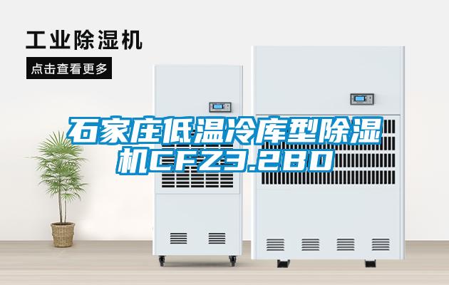 石家莊低溫冷庫型除濕機CFZ3.2BD