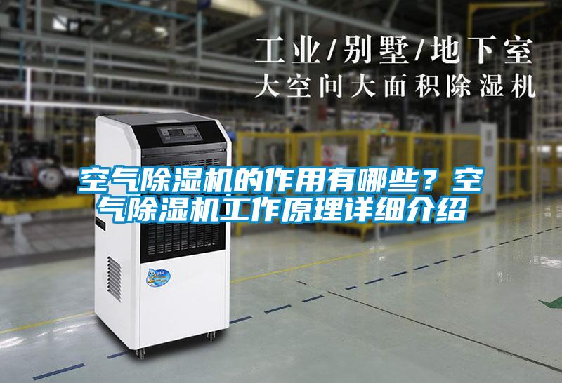 空氣除濕機的作用有哪些？空氣除濕機工作原理詳細介紹