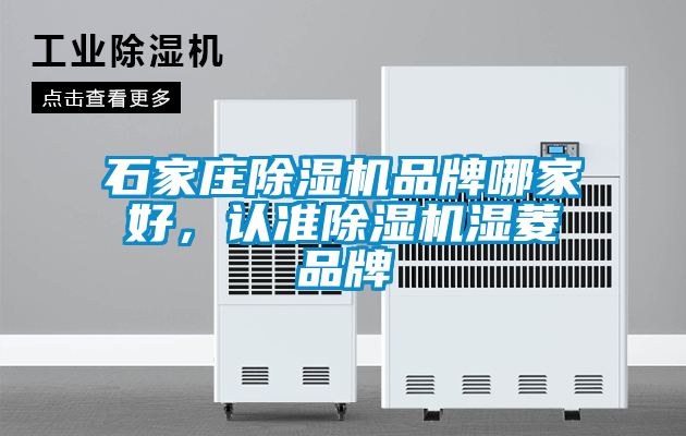 石家莊除濕機品牌哪家好，認準除濕機濕菱品牌