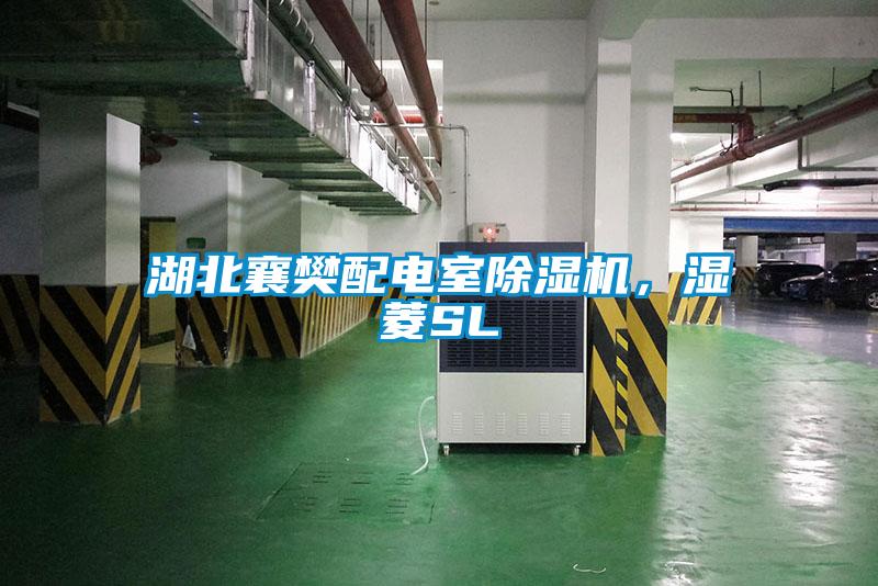 湖北襄樊配電室除濕機，濕菱SL