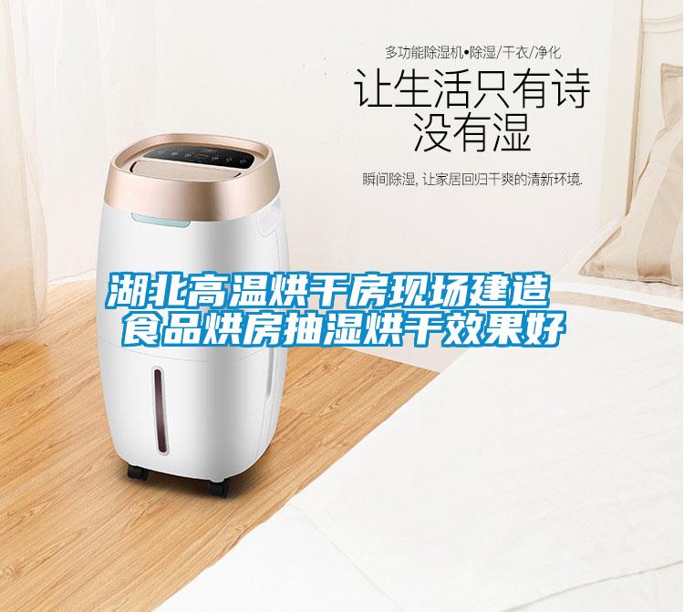 湖北高溫烘干房現場建造 食品烘房抽濕烘干效果好