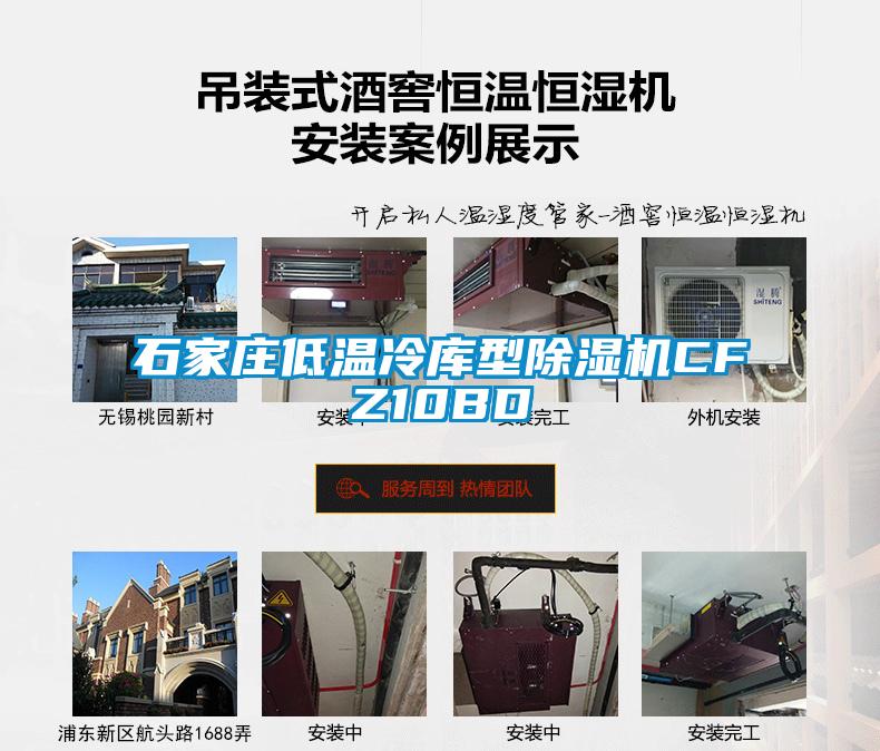 石家莊低溫冷庫型除濕機CFZ10BD