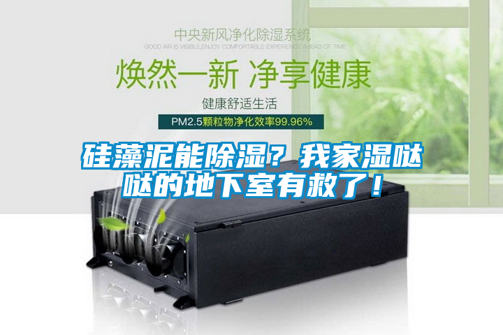 硅藻泥能除濕？我家濕噠噠的地下室有救了！