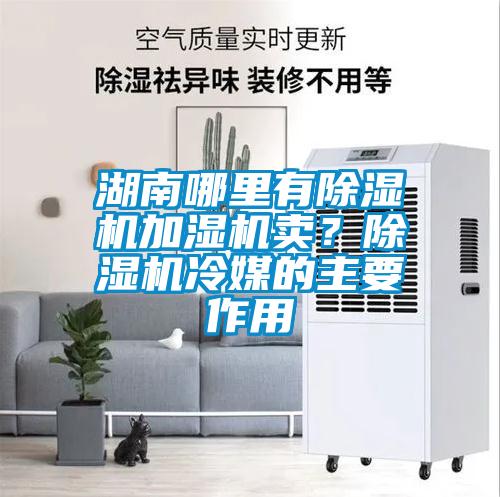 湖南哪里有除濕機加濕機賣？除濕機冷媒的主要作用