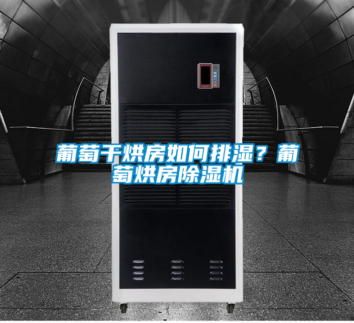 葡萄干烘房如何排濕？葡萄烘房除濕機