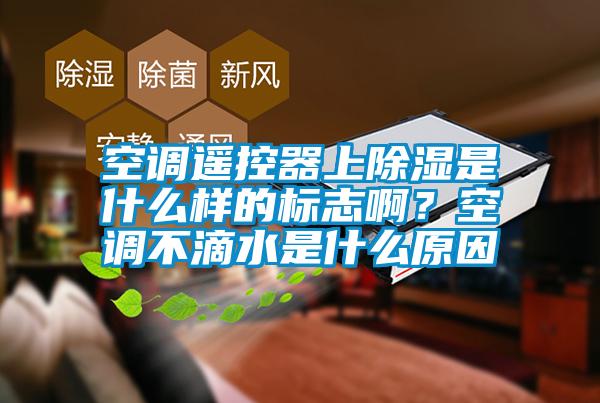 空調遙控器上除濕是什么樣的標志啊？空調不滴水是什么原因