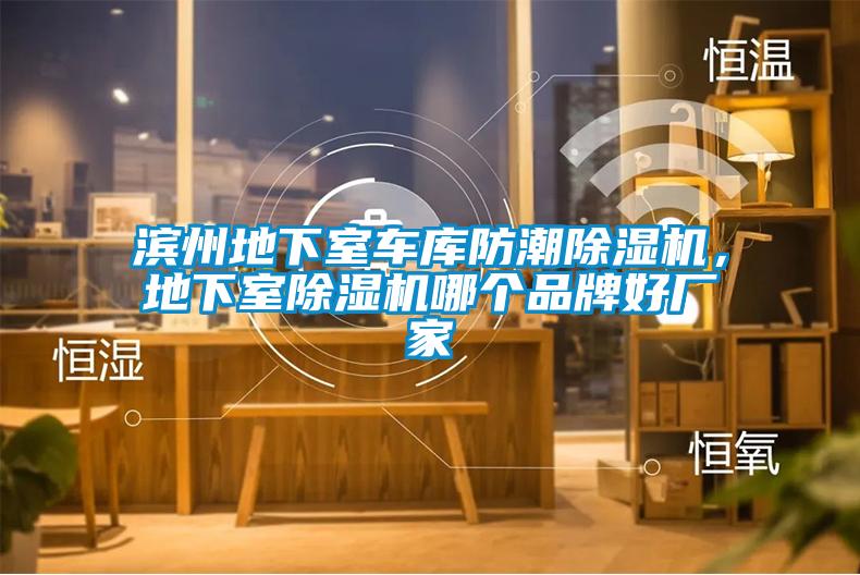 濱州地下室車庫防潮除濕機，地下室除濕機哪個品牌好廠家