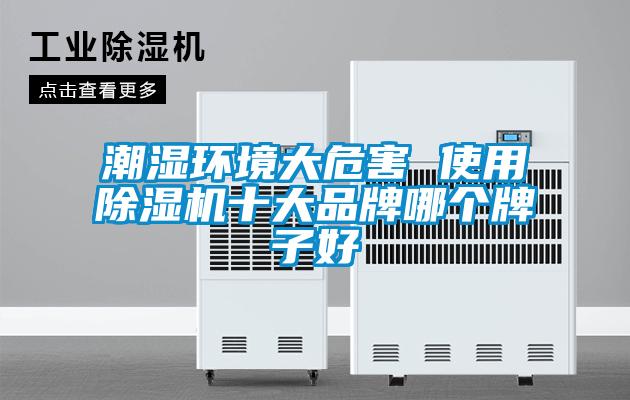 潮濕環(huán)境大危害 使用除濕機十大品牌哪個牌子好